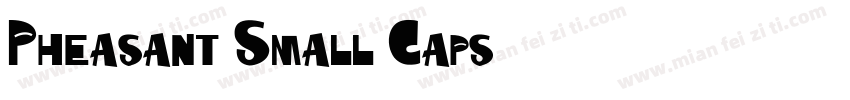 Pheasant Small Caps字体转换